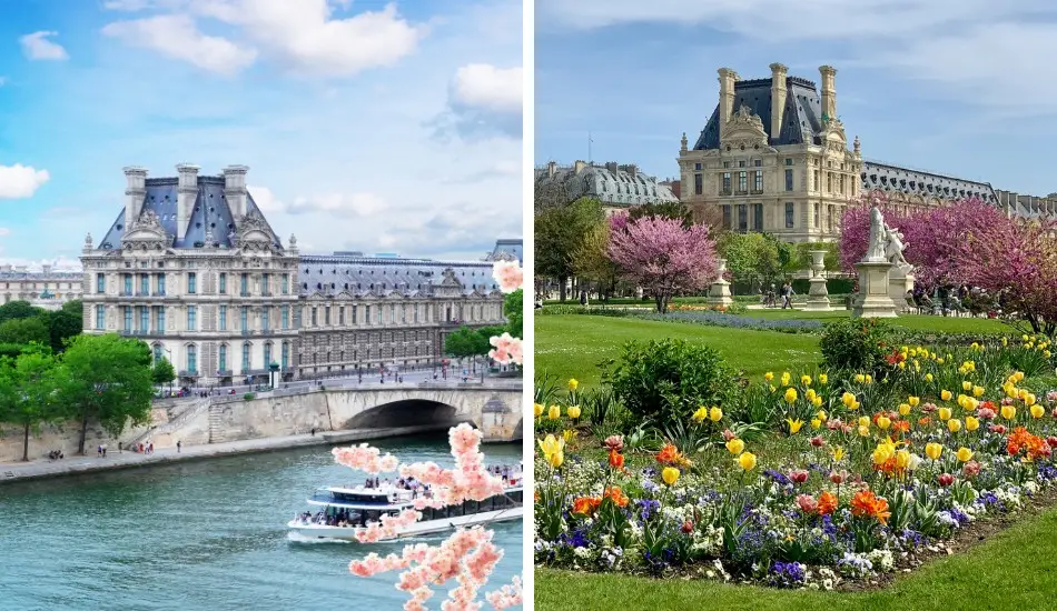 View of a Seine River Cruise boat sailing near the Musée d'Orsay and the blooming Tuileries Garden, both close to the Port de Solférino departure point.